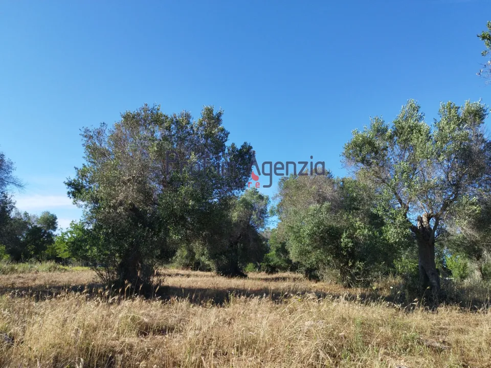Helårsgrund i Carovigno, Brindisi - foto 1