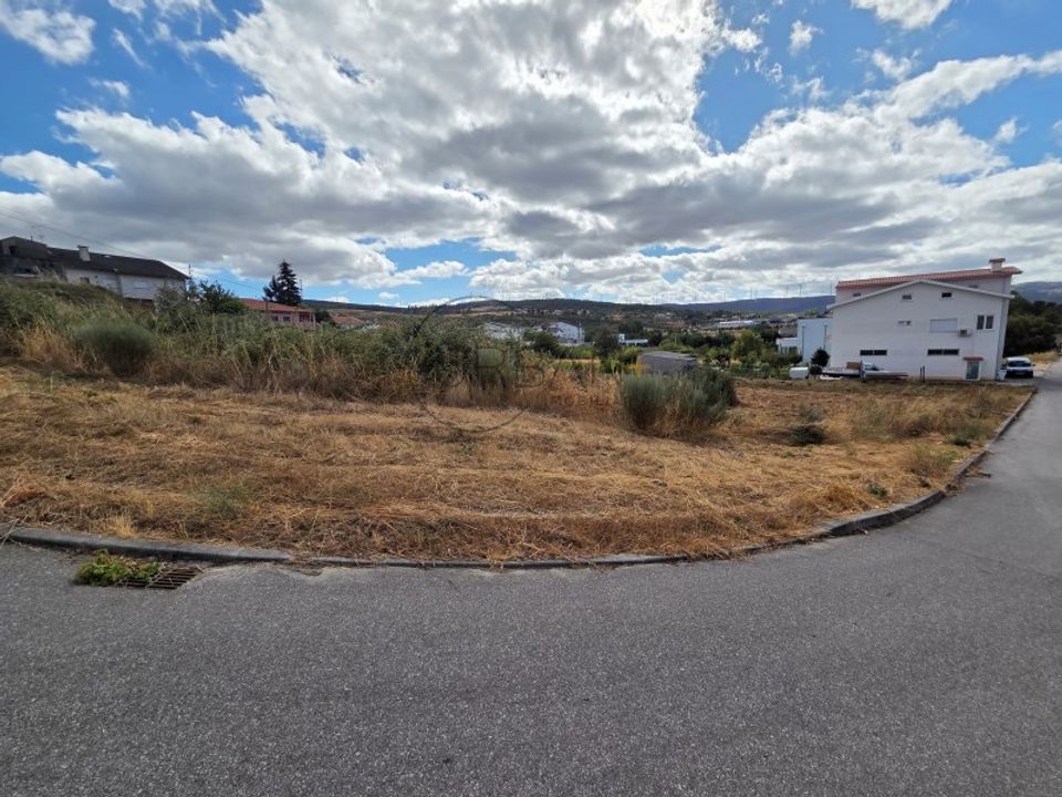 Tomt i Moimenta da Beira, Viseu - bilde 1