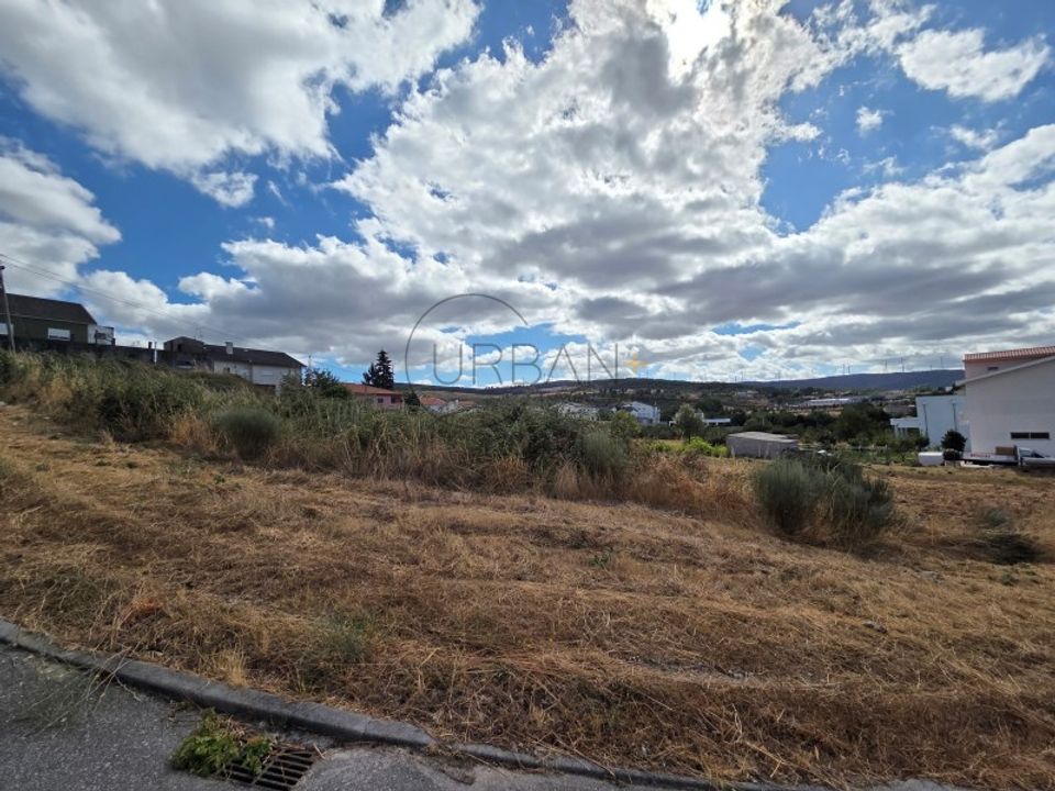 Tomt i Moimenta da Beira, Viseu - bilde 2