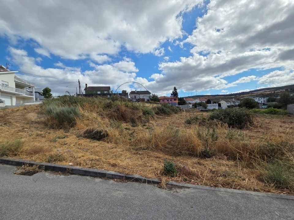 Tomt i Moimenta da Beira, Viseu - bilde 3