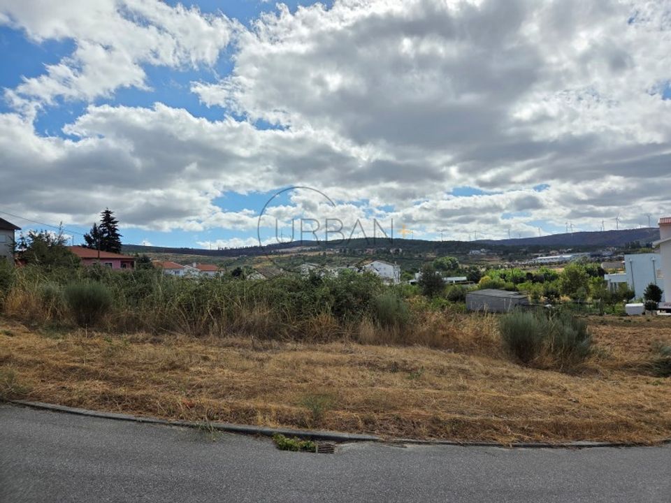 Tomt i Moimenta da Beira, Viseu - bilde 5