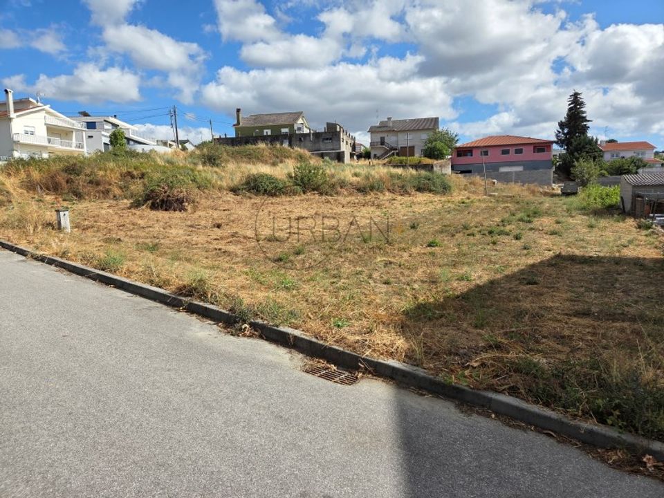 Tomt i Moimenta da Beira, Viseu - bilde 3