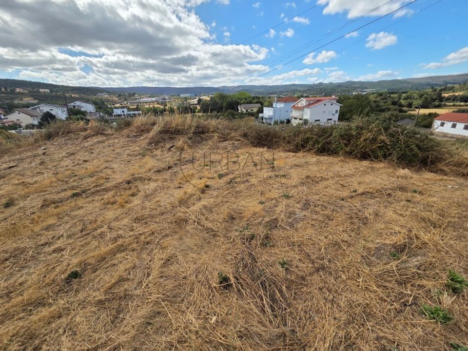 Tomt i Moimenta da Beira, Viseu - bilde 1