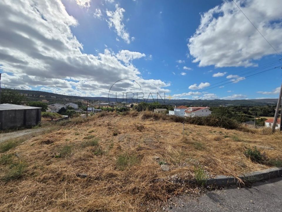 Tomt i Moimenta da Beira, Viseu - bilde 2