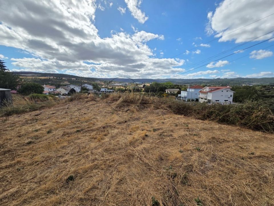 Tomt i Moimenta da Beira, Viseu - bilde 3