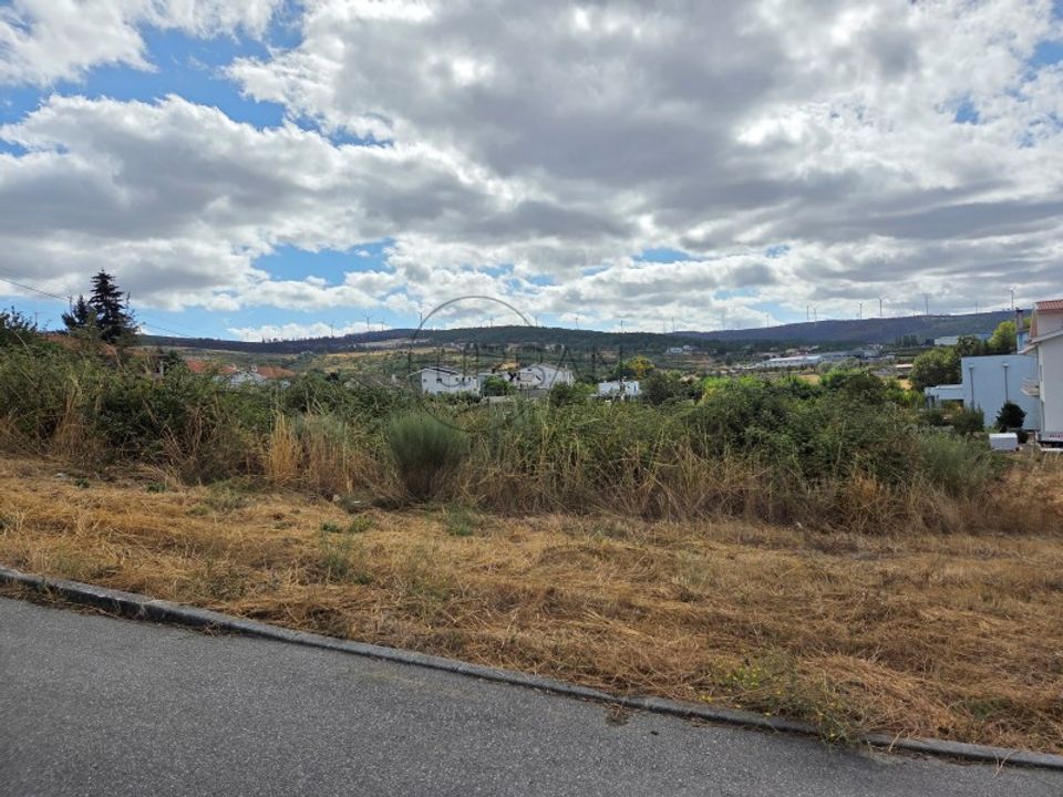 Tomt i Moimenta da Beira, Viseu - bilde 5