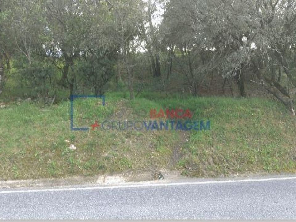 Helårsgrund i Tomar, Santarem - foto 3