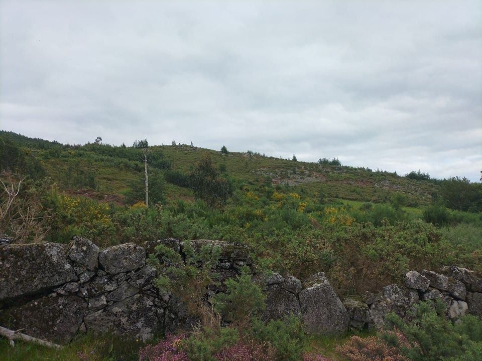 Helårsgrund i Vieira do Minho, Braga - foto 2