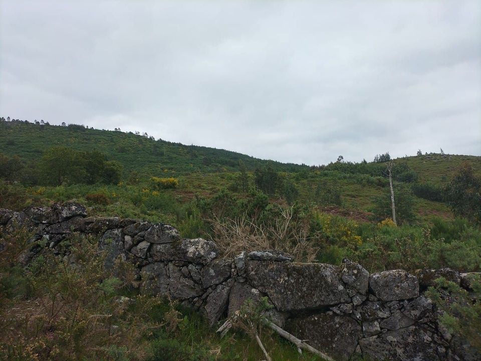 Helårsgrund i Vieira do Minho, Braga - foto 3