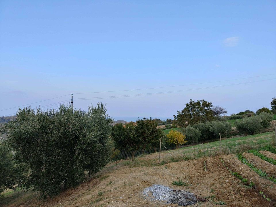 Landejendom i Acquaviva Picena, Ascoli Piceno - foto 3