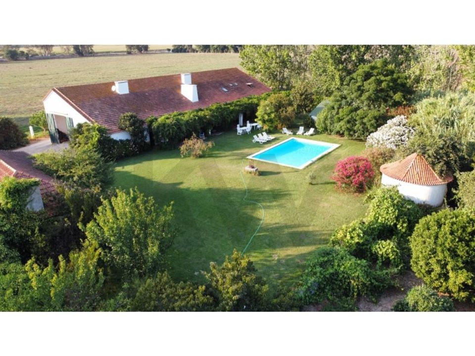 Farm i Benfica do Ribatejo, Santarem - foto 3