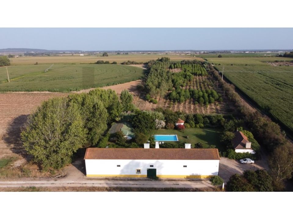 Farm i Benfica do Ribatejo, Santarem - foto 4