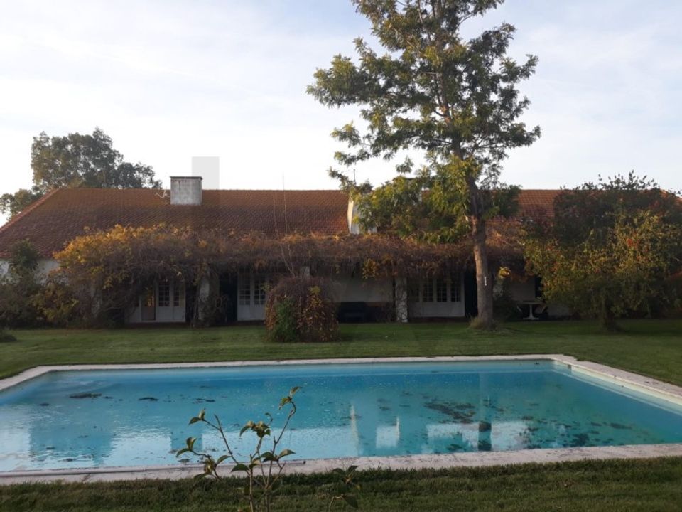 Farm i Benfica do Ribatejo, Santarem - foto 5