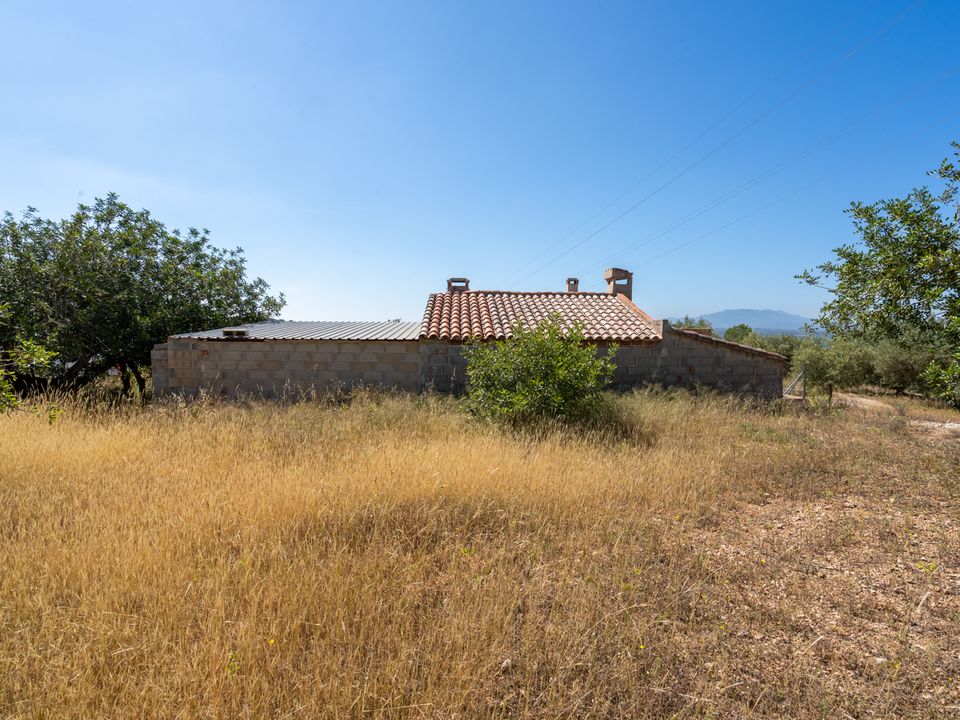 Finca i Tortosa, Tarragona - foto 4
