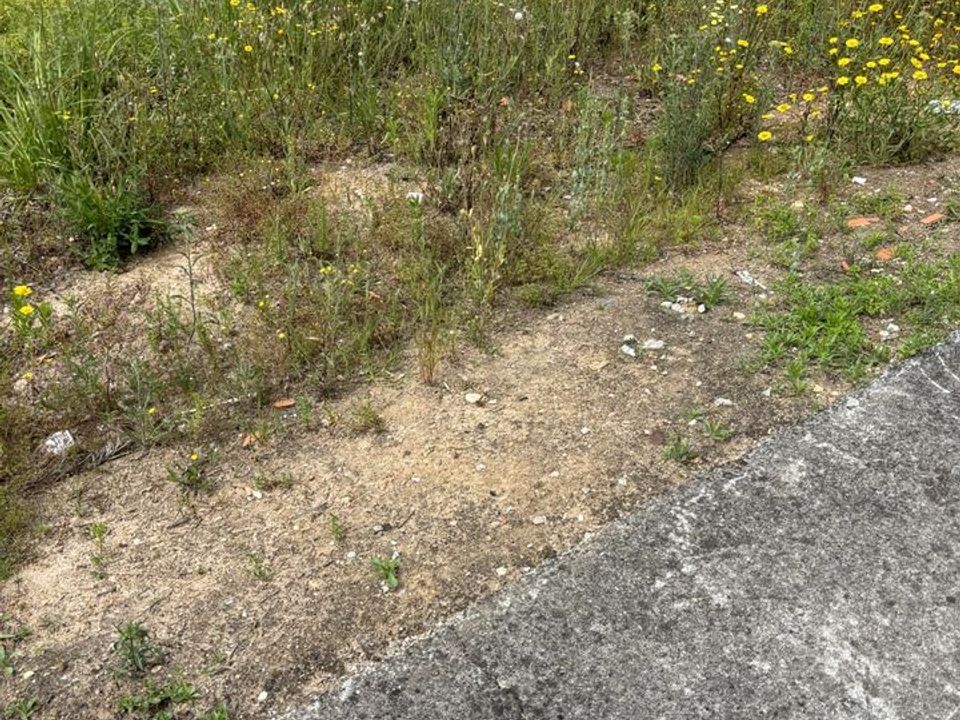 Helårsgrund i Rio Maior, Santarem - foto 3