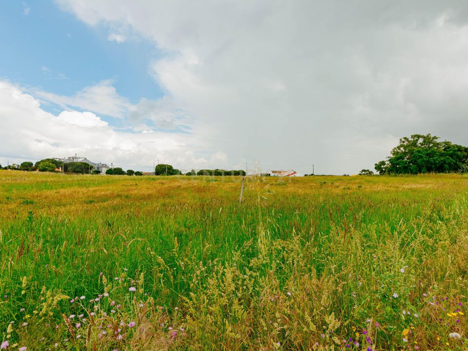 Helårsgrund i Coruche, Santarem - foto 1