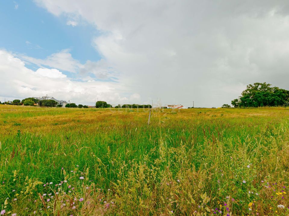 Helårsgrund i Coruche, Santarem - foto 2