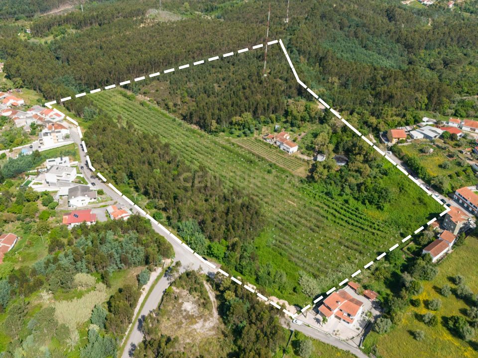 Villa i Coimbra, Coimbra - foto 4