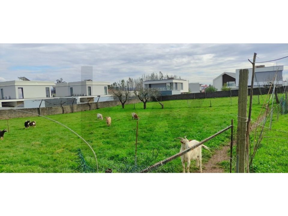 Villa i Albergaria-a-Velha, Aveiro - foto 1