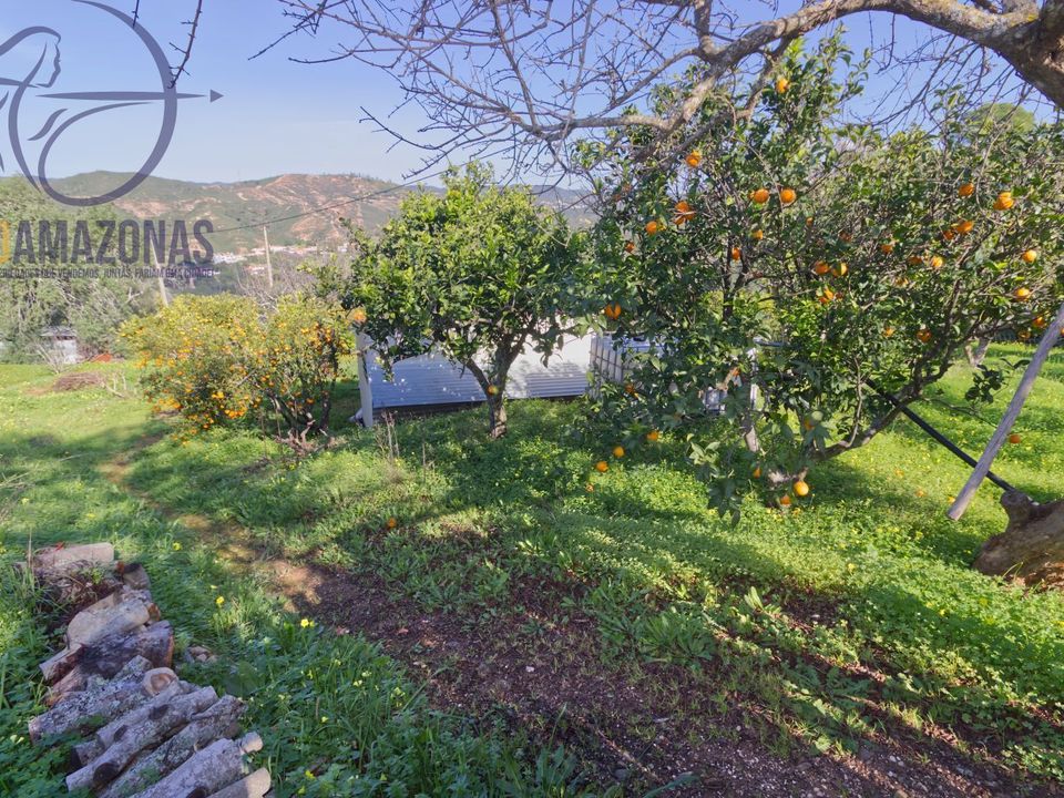Helårsgrund i Silves, Faro - foto 3