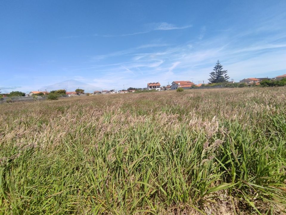 Helårsgrund i Gafanha da Encarnacao, Aveiro - foto 3