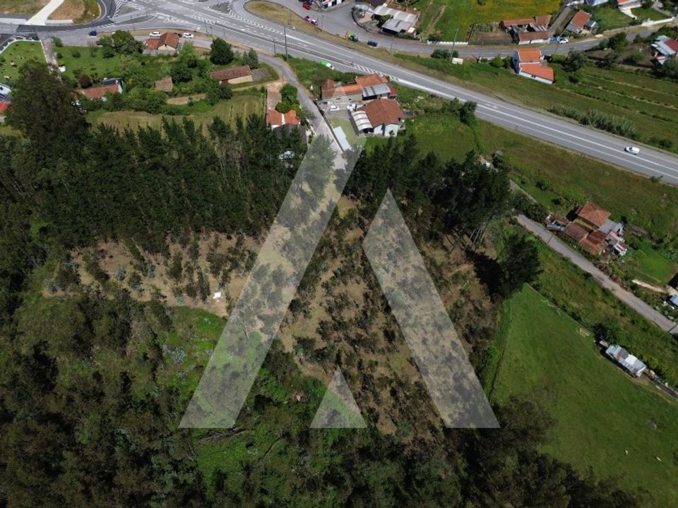 Helårsgrund i Macinhata do Vouga, Aveiro - foto 1