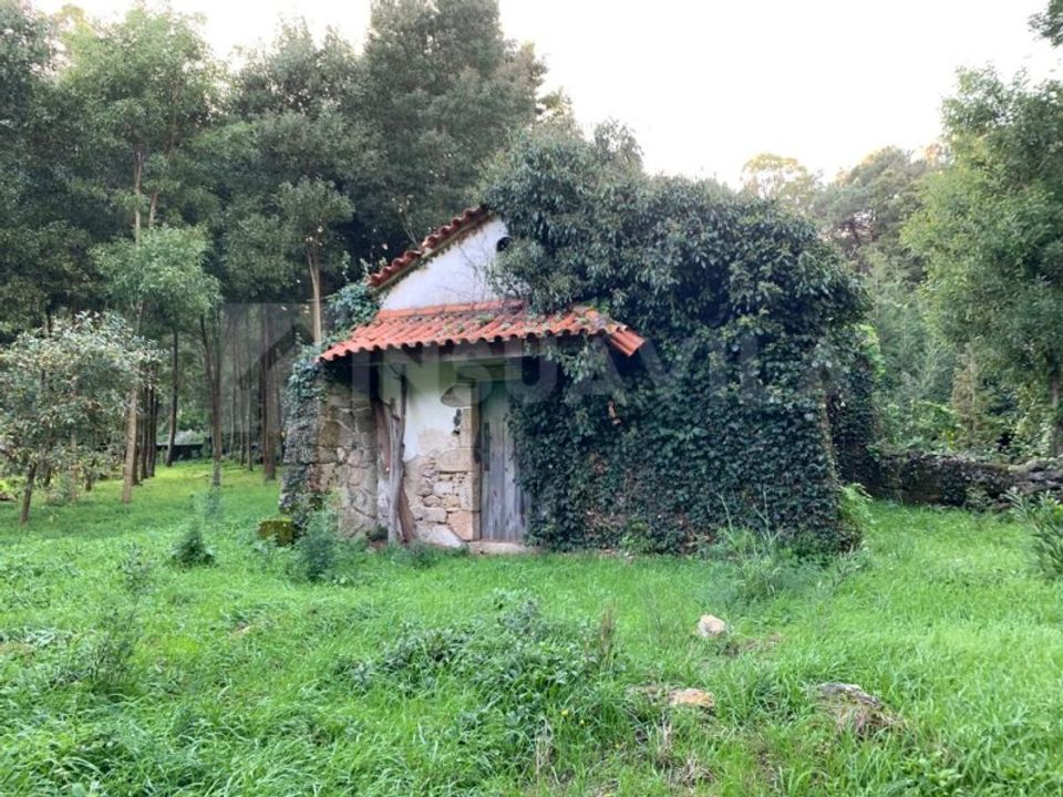 Ruinere i Caminha, Viana do Castelo - foto 1