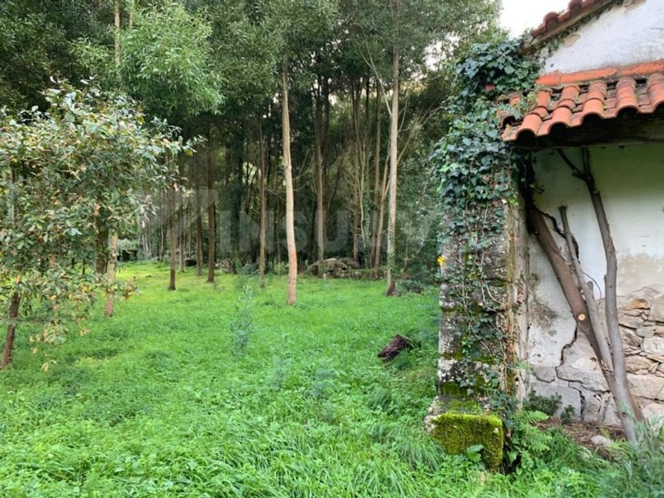 Ruinere i Caminha, Viana do Castelo - foto 3