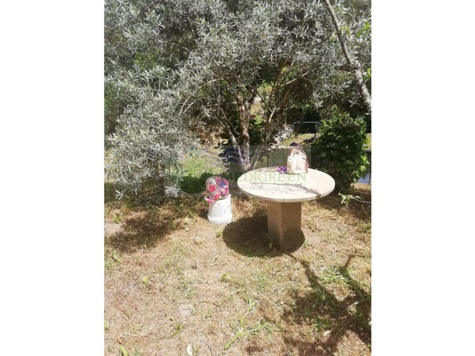 Tomt i Sever do Vouga, Aveiro - bilde 3