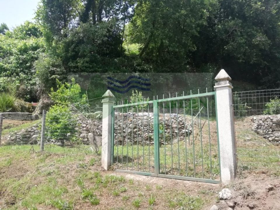 Tomt i Sever do Vouga, Aveiro - bilde 4