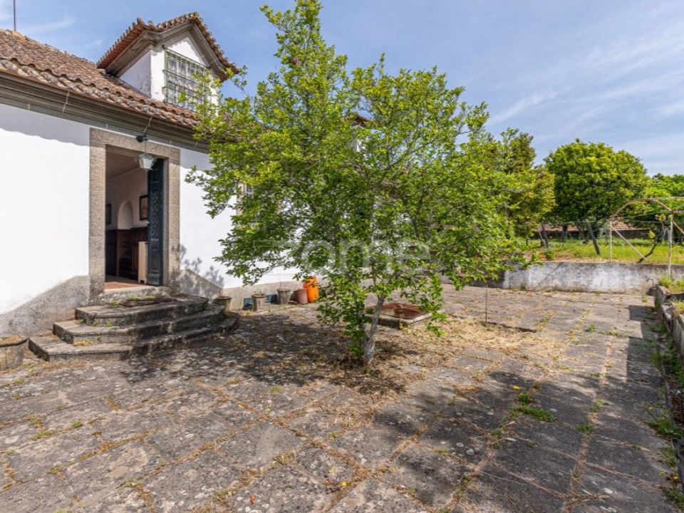 Farm i Mesao Frio, Vila Real - foto 4