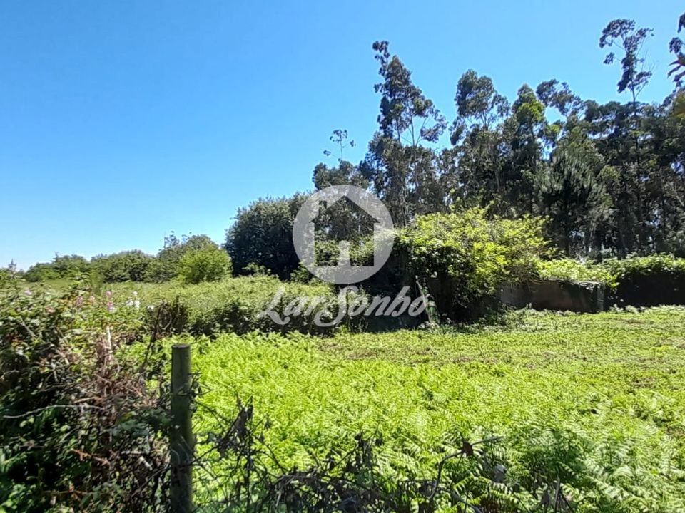 Farm i Povoa de Varzim, Porto - foto 2