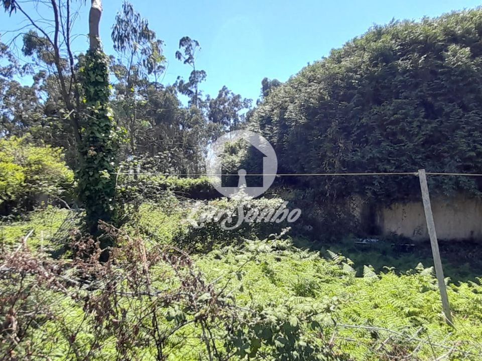 Farm i Povoa de Varzim, Porto - foto 3