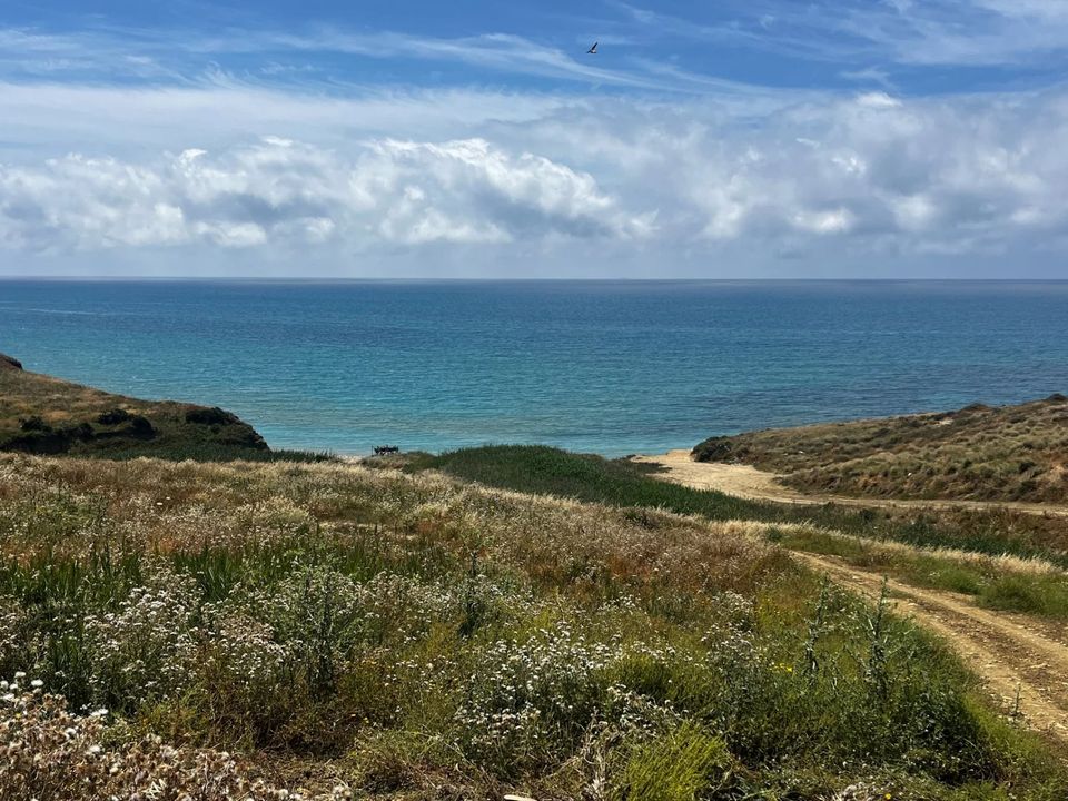 Villa i Agrigento, Agrigento - bilde 4