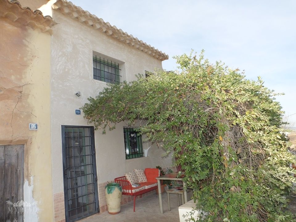 Landejendom i Pinoso, Alicante - foto 1
