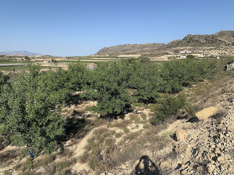Helårsgrund i Monforte Del Cid, Alicante - foto 2