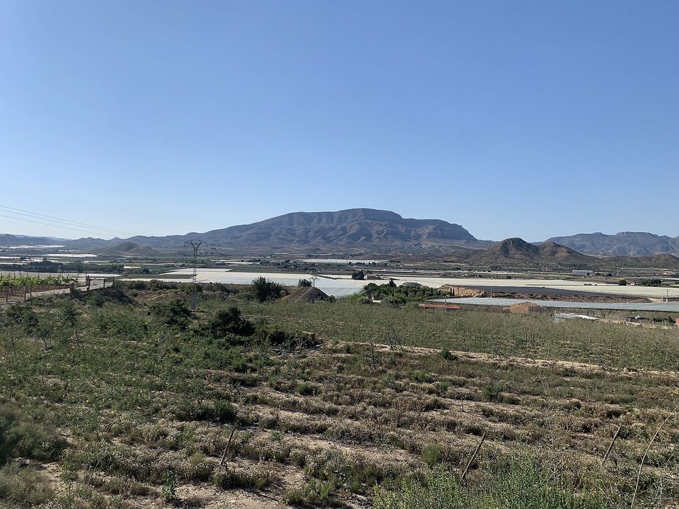 Helårsgrund i Monforte Del Cid, Alicante - foto 4