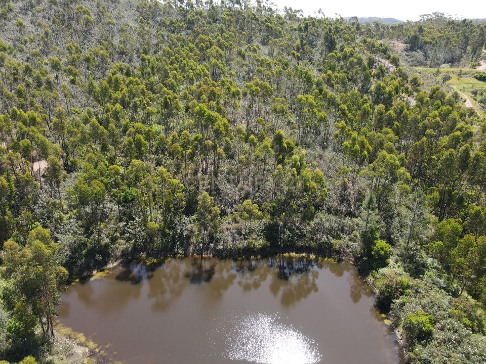 Helårsgrund i Monchique, Faro - foto 1