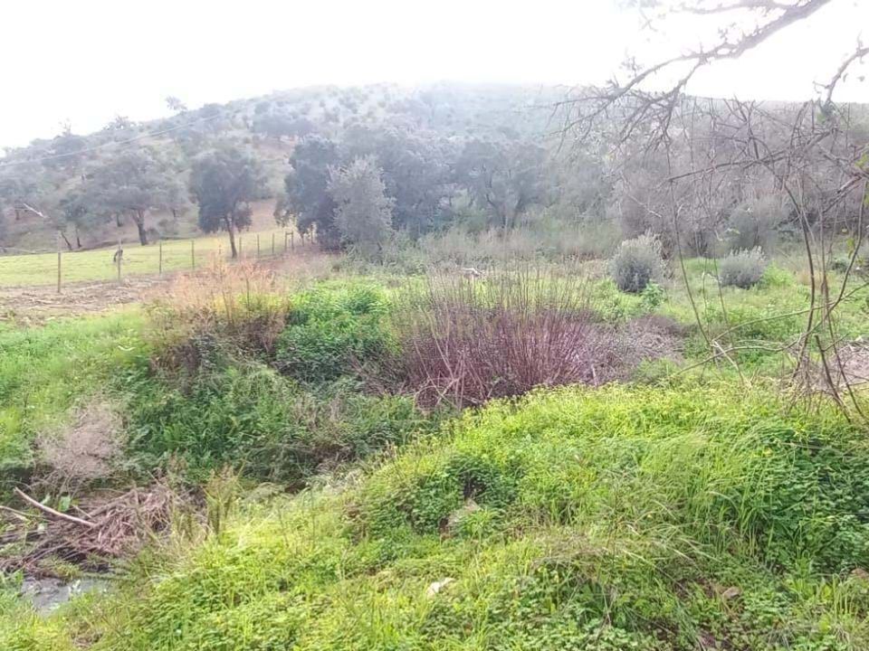 Helårsgrund i Monchique, Faro - foto 2