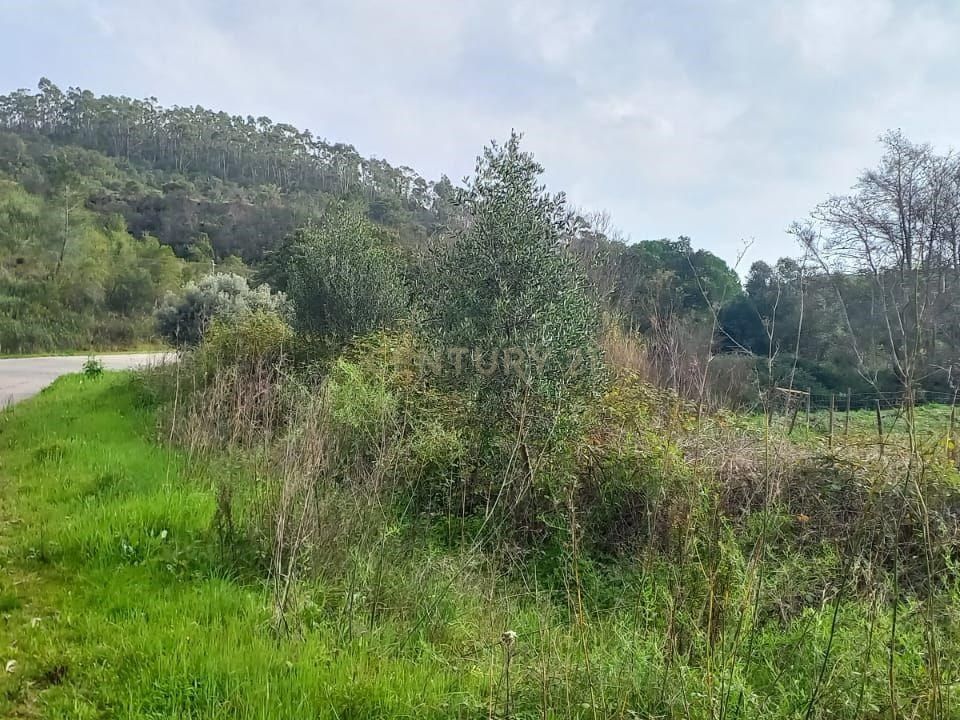 Helårsgrund i Monchique, Faro - foto 4
