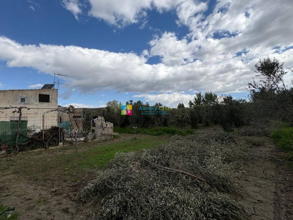 Herregård i Seron, Almeria - bilde 4