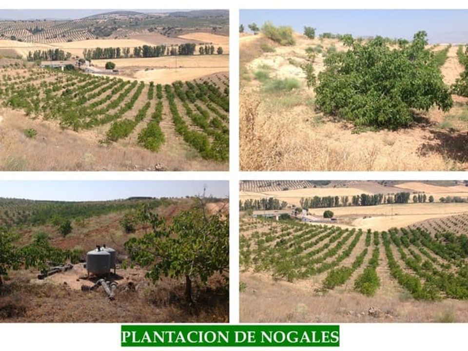 Finca i Guadahortuna, Granada - foto 1