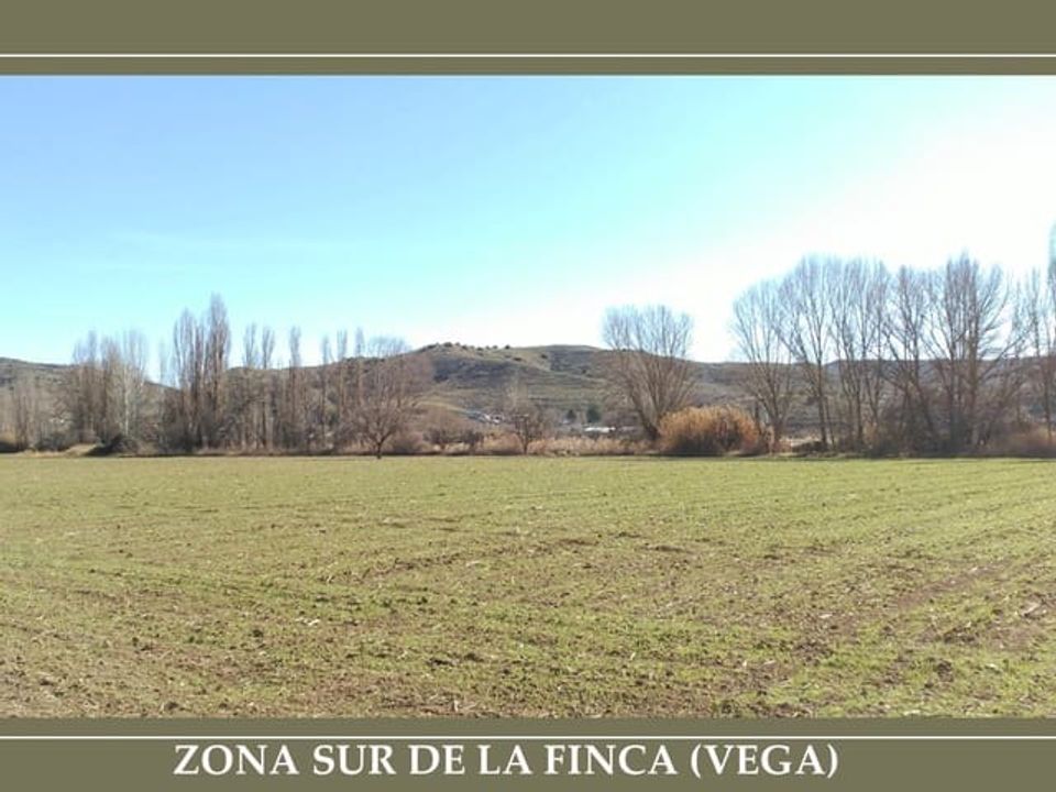 Finca i Guadahortuna, Granada - foto 2