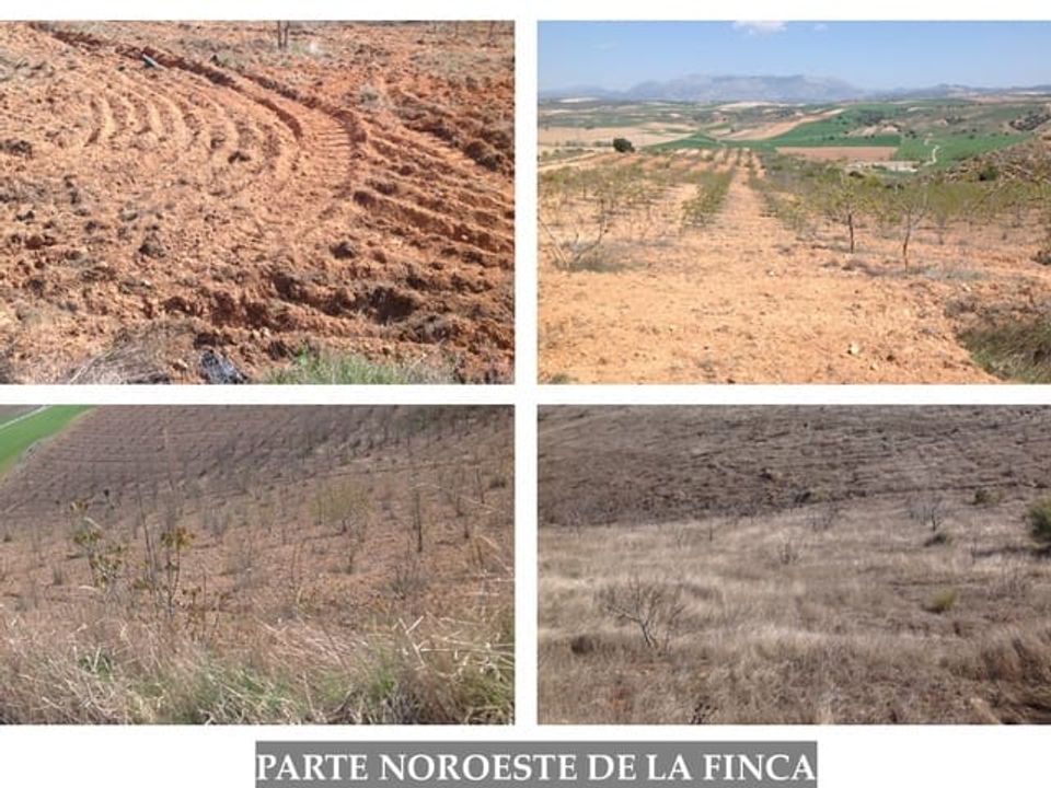 Finca i Guadahortuna, Granada - foto 3