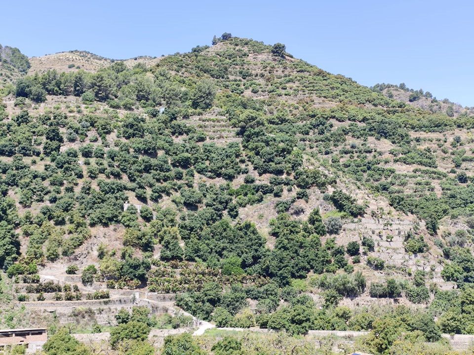 Rækkehus i Jete, Granada - foto 1