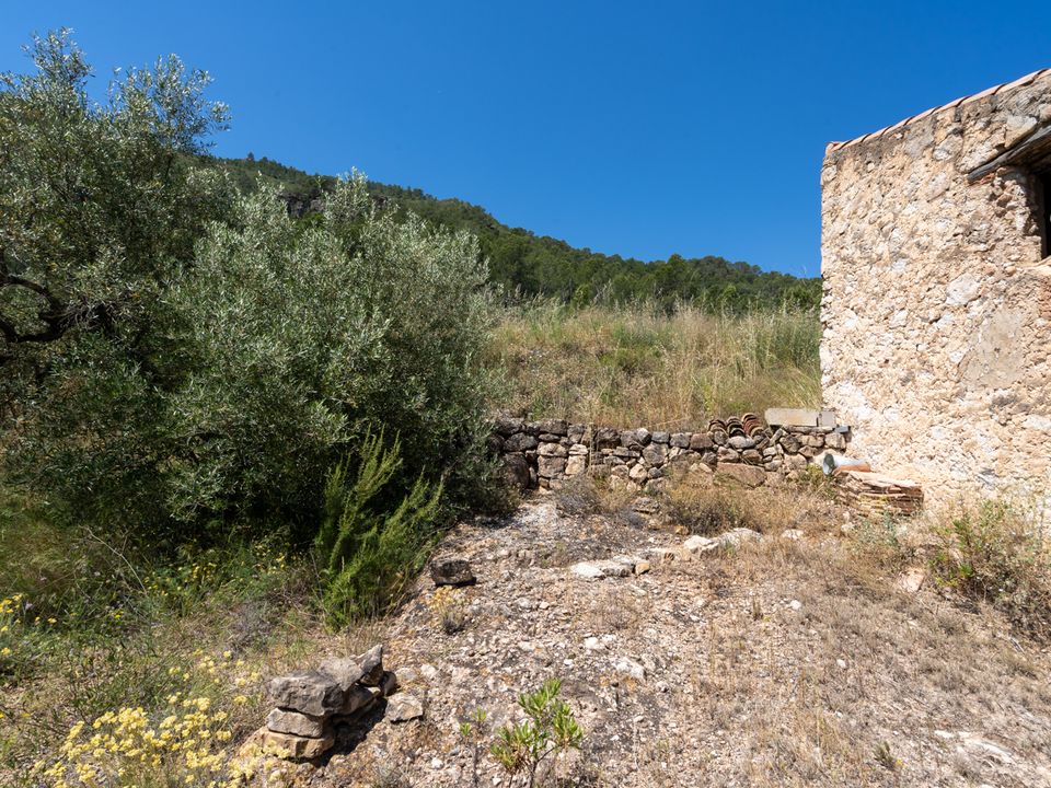 Finca i Pauls, Tarragona - bilde 4
