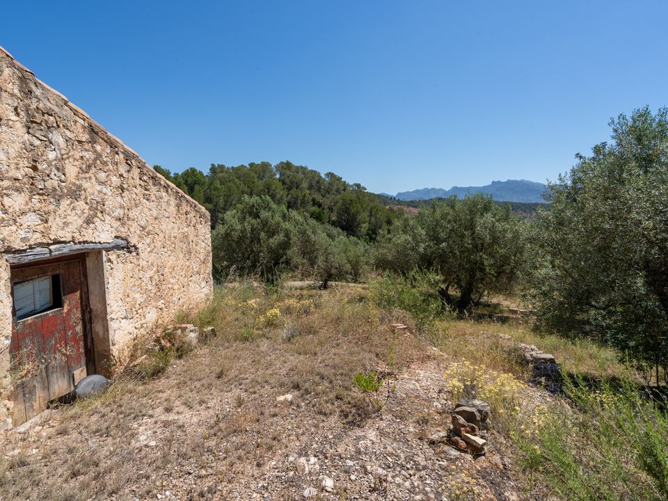 Finca i Pauls, Tarragona - bilde 3