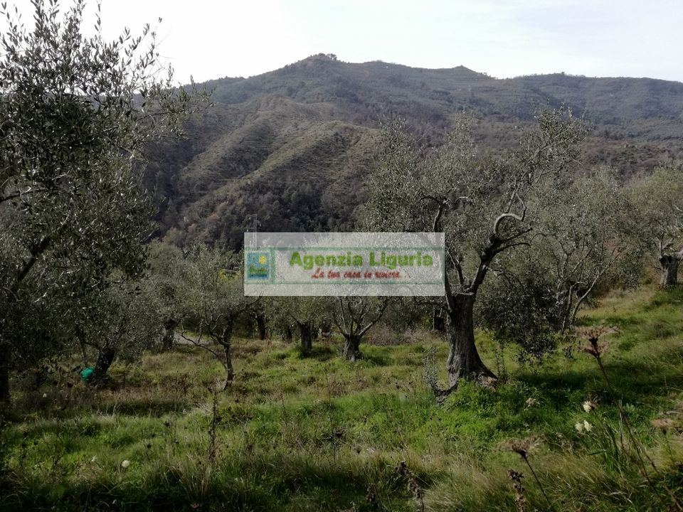 Landejendom i Perinaldo, Imperia - foto 4