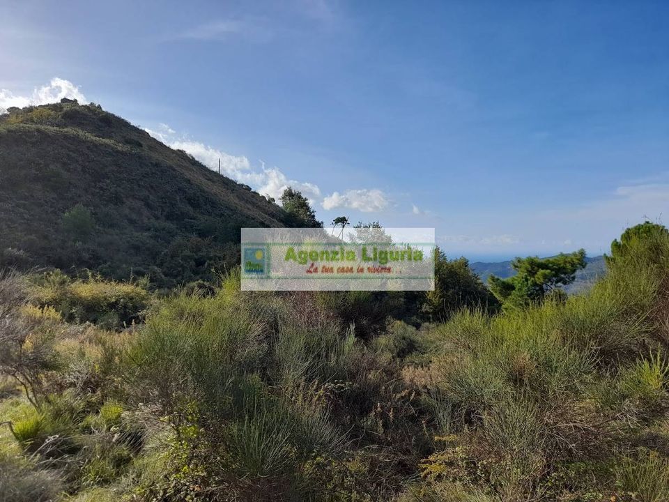 Masia a Dolceacqua, Imperia - foto 2