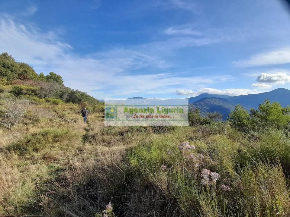 Masia a Dolceacqua, Imperia - foto 3